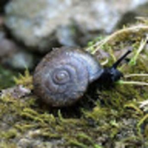 Meet your Posher, Jess